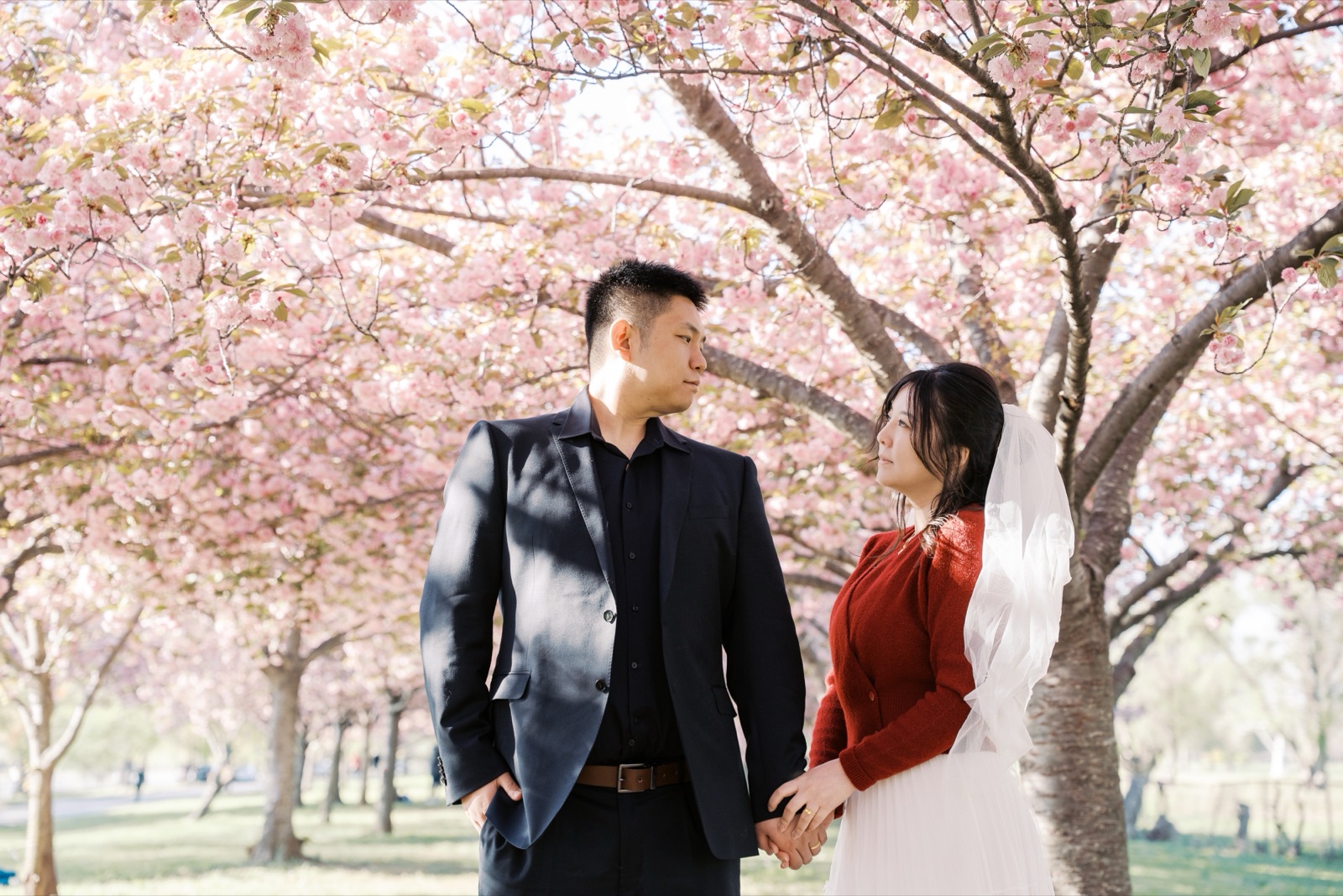 Couple holding hands beneath the cherry blossoms in Washington, DC by Kevin Socola Films