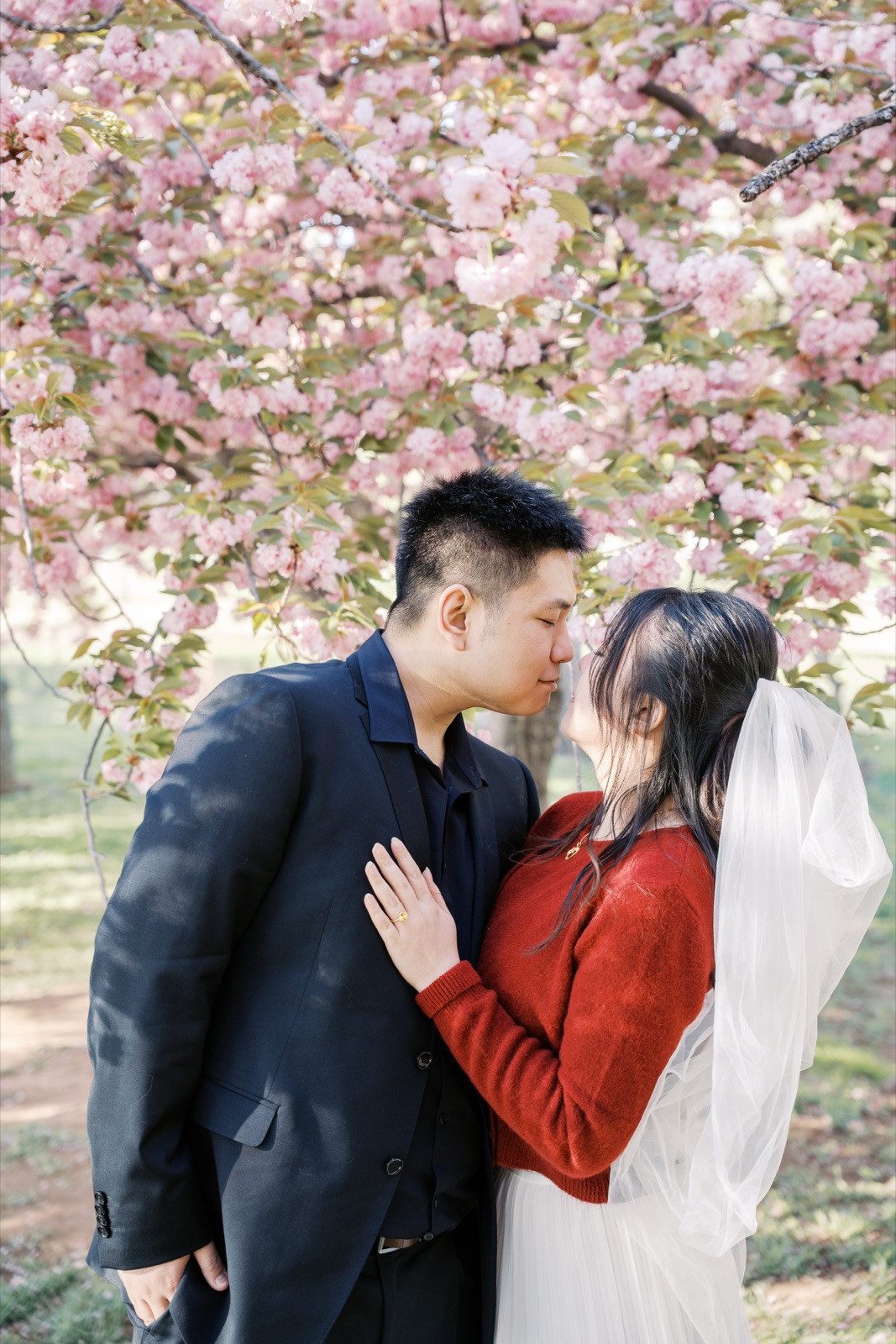 Cherry blossom engagement session in Washington, DC by Kevin Socola Films