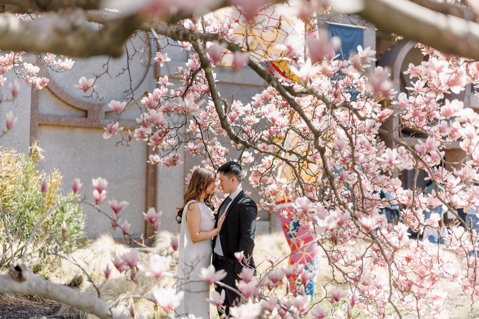 Couple under cherry blossoms at the Enid A. Haupt Garden in Washington, DC by Kevin Socola Films